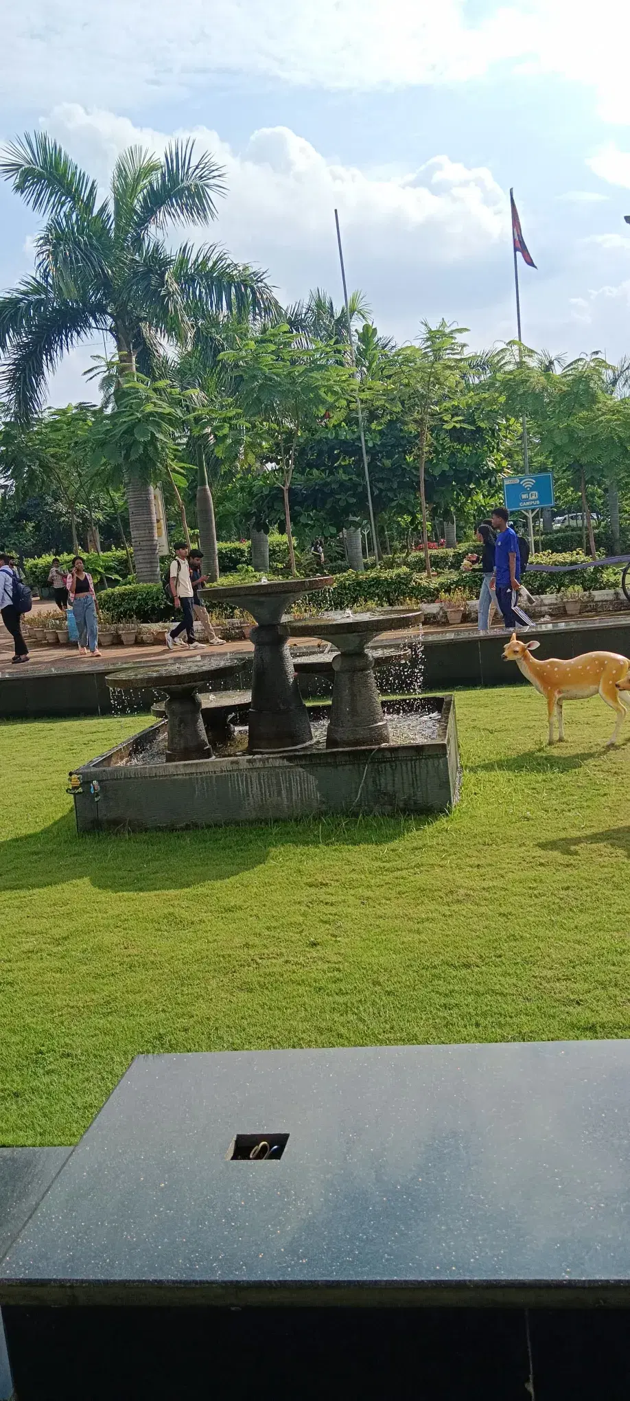 Kalinga University Raipur Campus photo 4